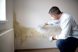 Best Mold Damage Restoration  in Happy Valley, OR